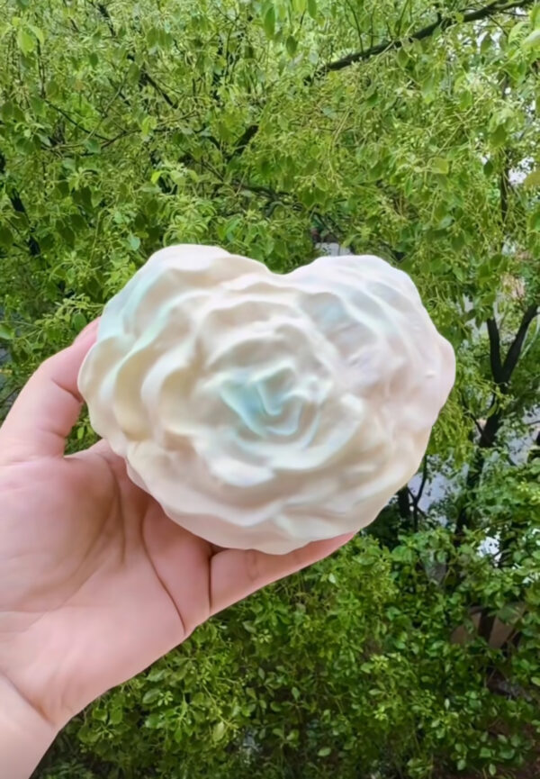 Zhijie Heart Rose Cake Squishy