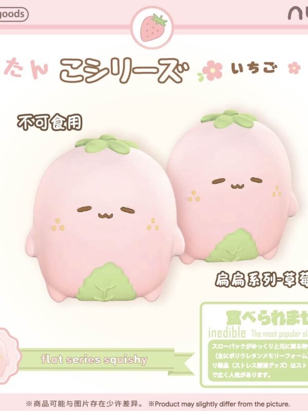 Nunu Flat Strawberry Squishy
